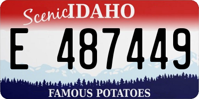 ID license plate E487449