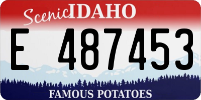 ID license plate E487453