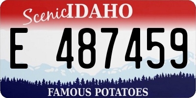 ID license plate E487459