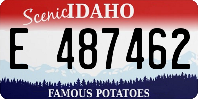 ID license plate E487462