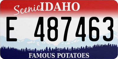 ID license plate E487463