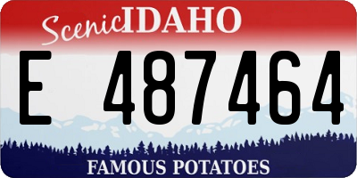 ID license plate E487464