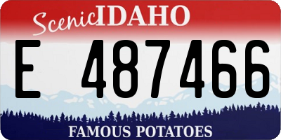 ID license plate E487466