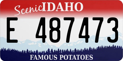 ID license plate E487473