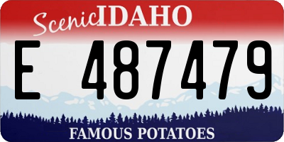 ID license plate E487479