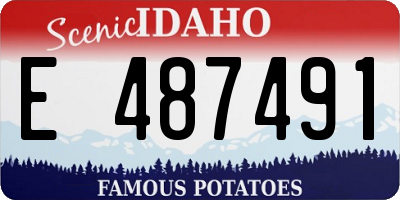ID license plate E487491