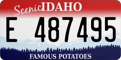 ID license plate E487495