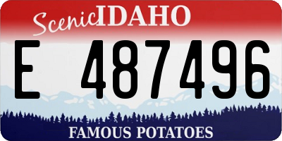 ID license plate E487496