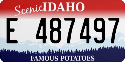 ID license plate E487497