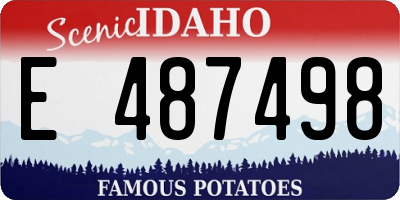 ID license plate E487498
