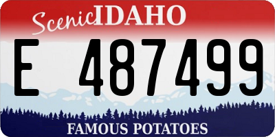 ID license plate E487499