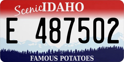 ID license plate E487502