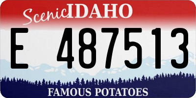 ID license plate E487513