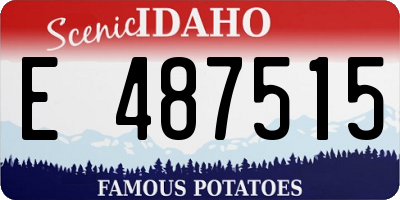 ID license plate E487515