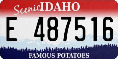 ID license plate E487516