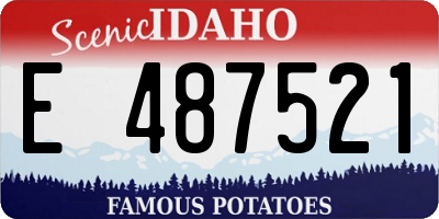 ID license plate E487521