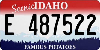 ID license plate E487522