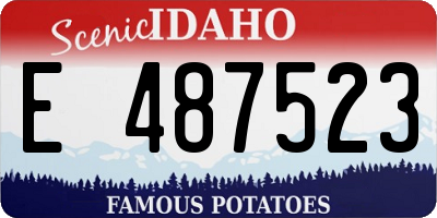 ID license plate E487523