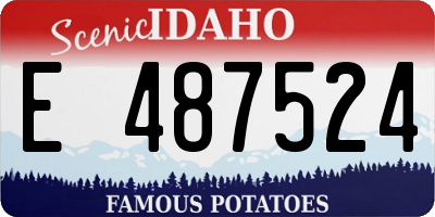 ID license plate E487524