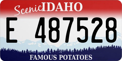 ID license plate E487528