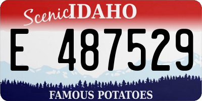 ID license plate E487529