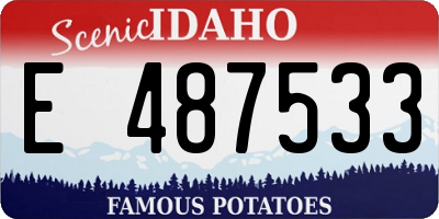 ID license plate E487533
