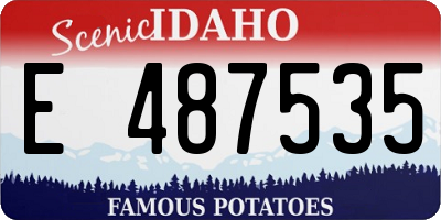 ID license plate E487535