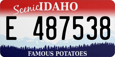 ID license plate E487538