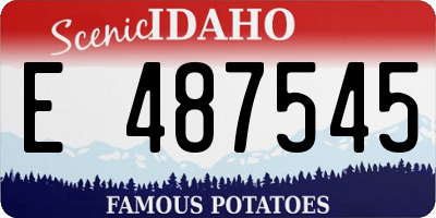 ID license plate E487545