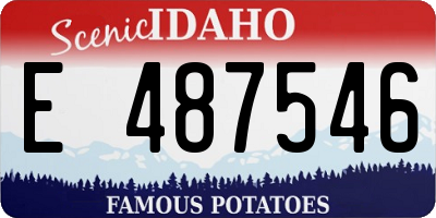ID license plate E487546