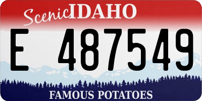ID license plate E487549