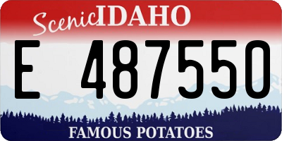 ID license plate E487550