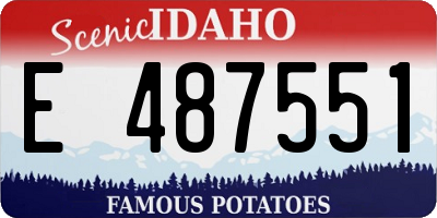 ID license plate E487551