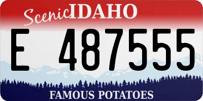 ID license plate E487555