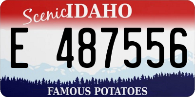 ID license plate E487556