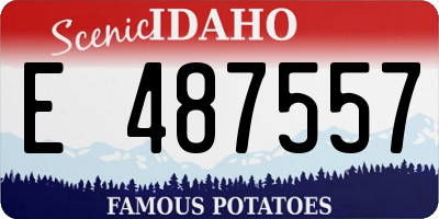 ID license plate E487557