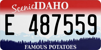 ID license plate E487559