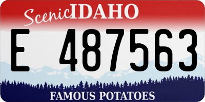 ID license plate E487563