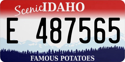 ID license plate E487565