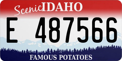 ID license plate E487566