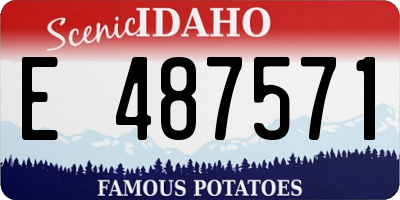 ID license plate E487571