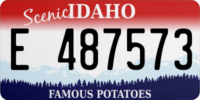 ID license plate E487573