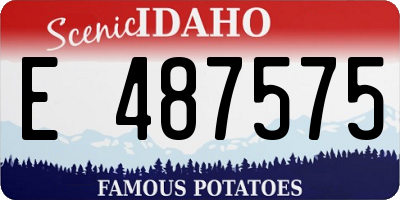 ID license plate E487575