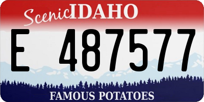 ID license plate E487577