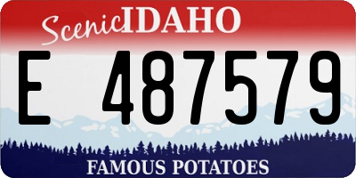 ID license plate E487579