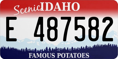 ID license plate E487582
