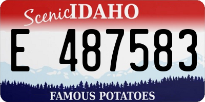ID license plate E487583