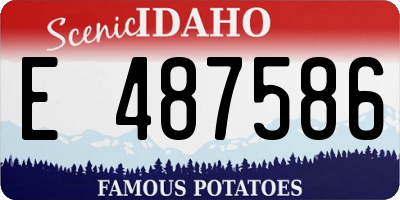 ID license plate E487586