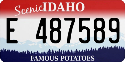 ID license plate E487589