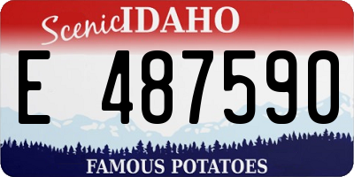 ID license plate E487590